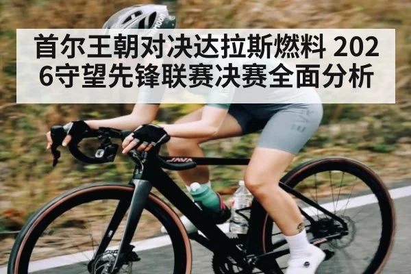 首尔王朝对决达拉斯燃料 2026守望先锋联赛决赛全面分析